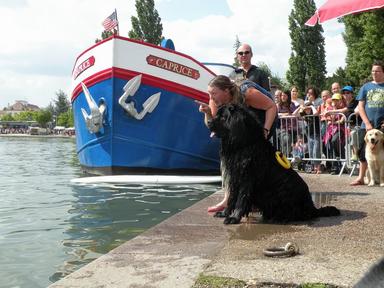 L'article des Pacotilles sur la dmo du Port du Canal