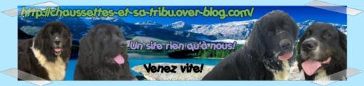 L'article d'Emak et Enouk