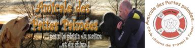 Vers le blog des Pattes Palmes