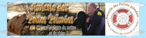 Vers le blog des Pattes Palmes
