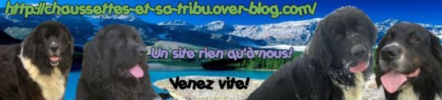 Devinez qui est venu nous voir ?